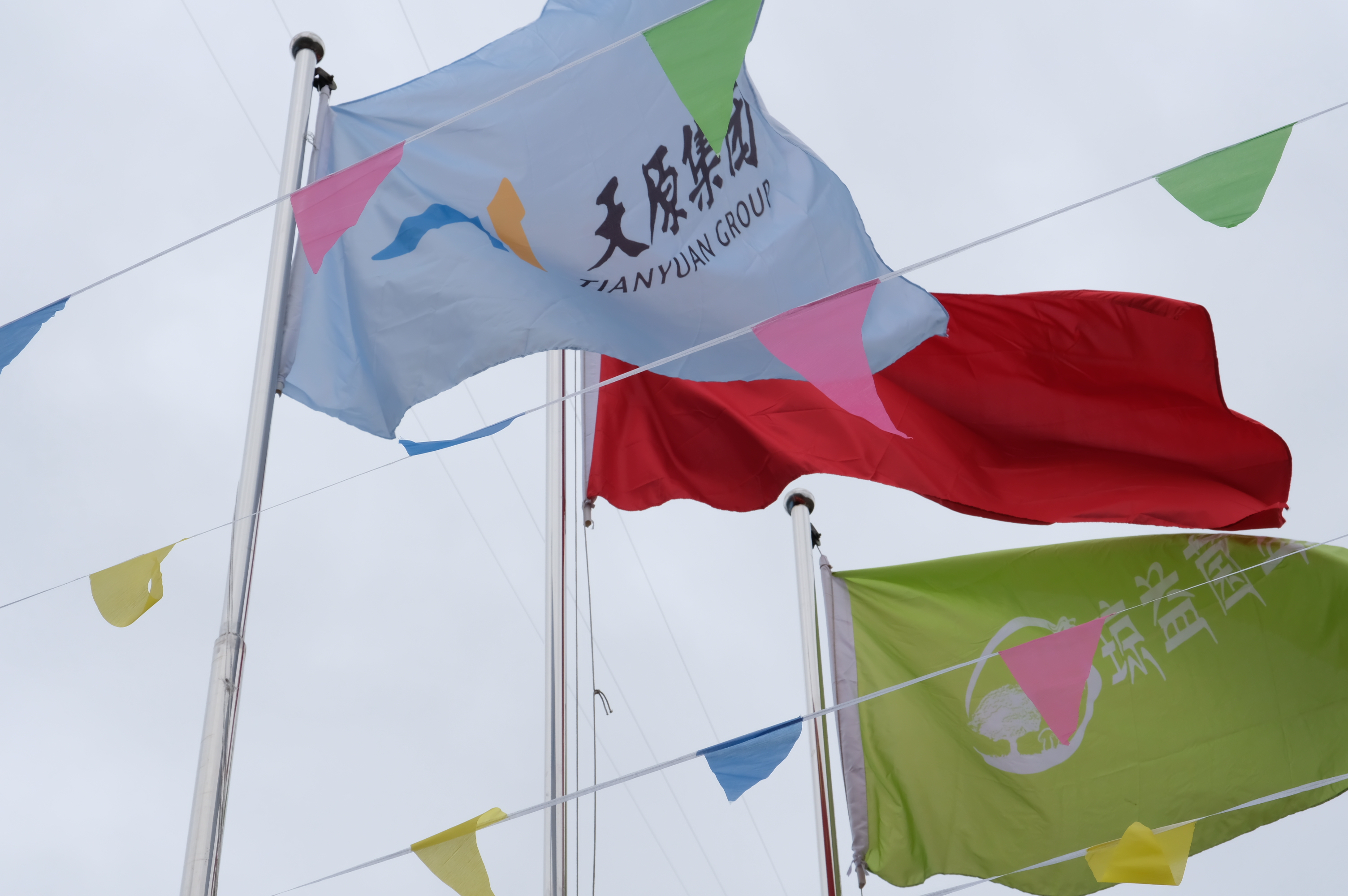 6731������Ϸ(�й���)-�ٷ���վ