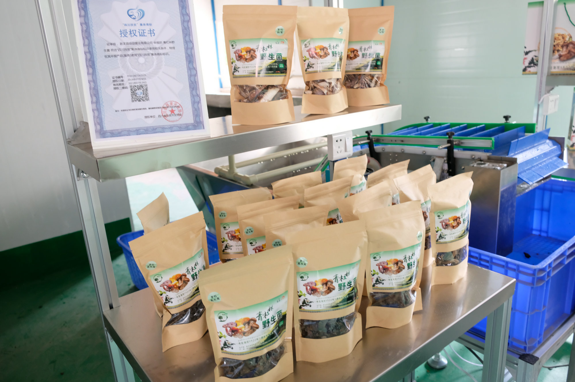 6731������Ϸ(�й���)-�ٷ���վ