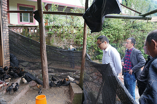 6731������Ϸ(�й���)-�ٷ���վ