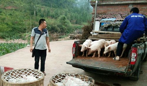 6731������Ϸ(�й���)-�ٷ���վ