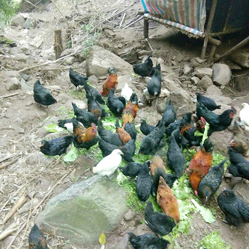 6731������Ϸ(�й���)-�ٷ���վ