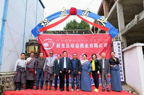 6731������Ϸ(�й���)-�ٷ���վ