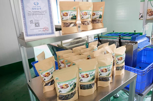 6731������Ϸ(�й���)-�ٷ���վ