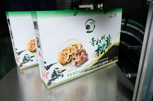 6731������Ϸ(�й���)-�ٷ���վ