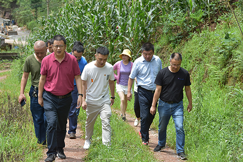 6731������Ϸ(�й���)-�ٷ���վ