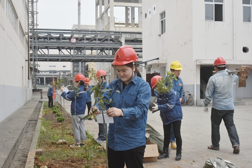 6731������Ϸ(�й���)-�ٷ���վ