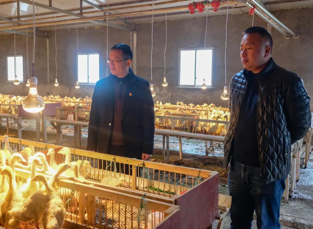 6731������Ϸ(�й���)-�ٷ���վ