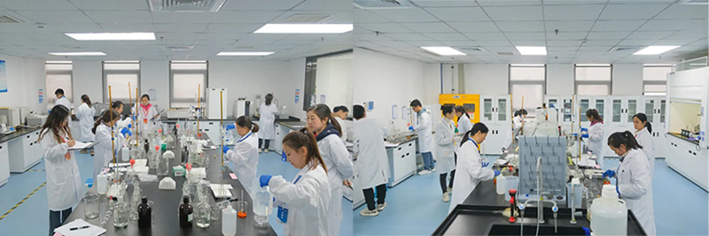 6731������Ϸ(�й���)-�ٷ���վ