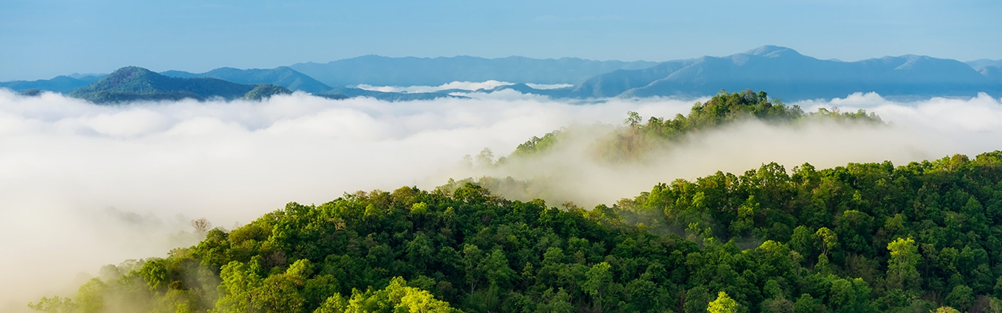 6731������Ϸ(�й���)-�ٷ���վ