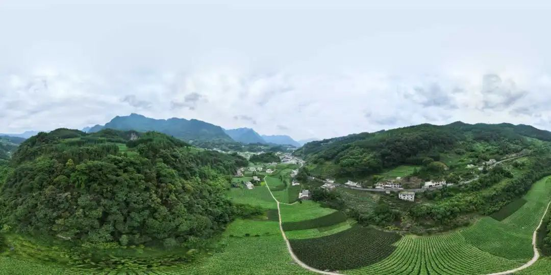 6731顶级游戏(中国区)-官方网站